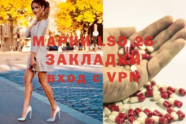 стаф Медвежьегорск