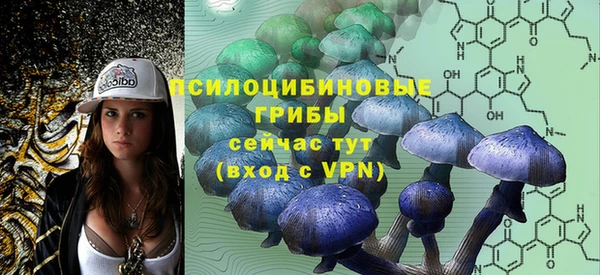 стаф Медвежьегорск