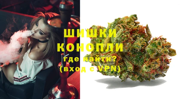 ГАЛЛЮЦИНОГЕННЫЕ ГРИБЫ Медногорск