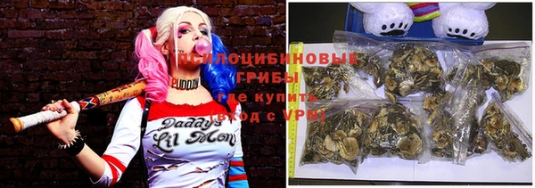 бошки Мегион