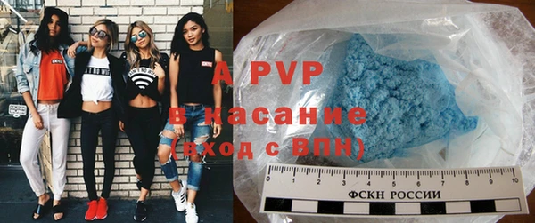 стаф Медвежьегорск